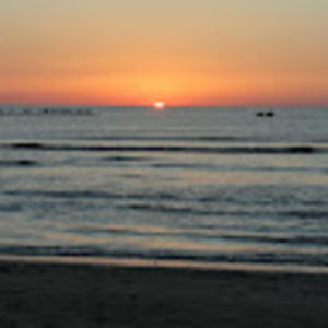 Meet your Posher, Francesca